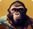 Artist Profile Picture